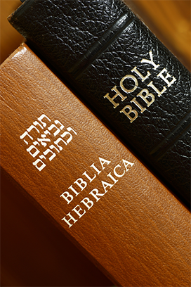 Learn to read Biblical Hebrew.